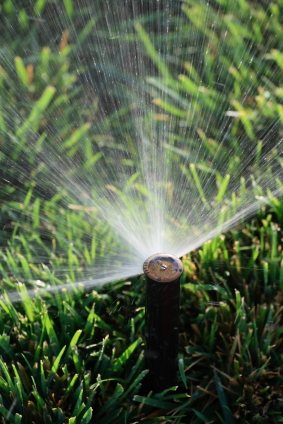 Lawn sprinkler service in Issaquah, WA by Unique Gardens.